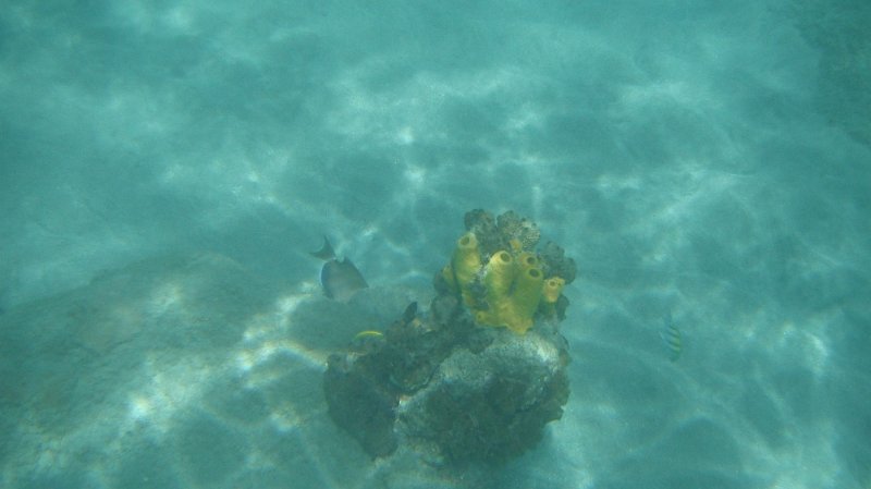 DSCF0763.JPG
