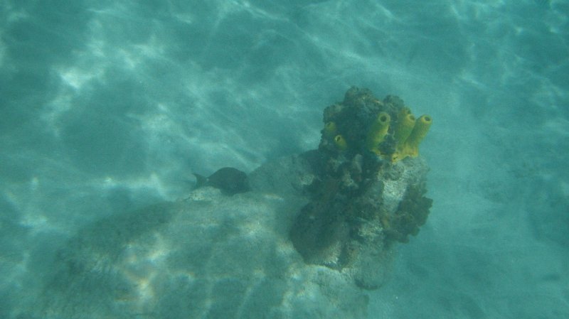 DSCF0764.JPG