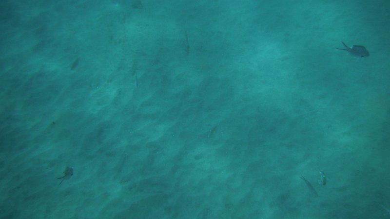DSCF0766.JPG
