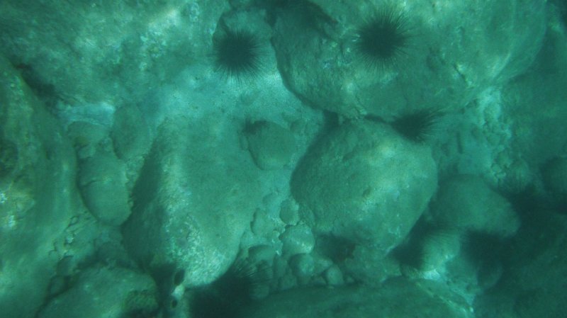 DSCF0770.JPG