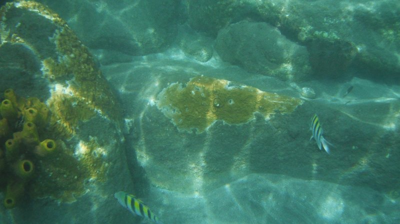 DSCF0774.JPG
