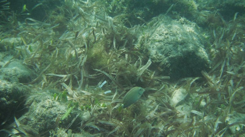 DSCF0815.JPG