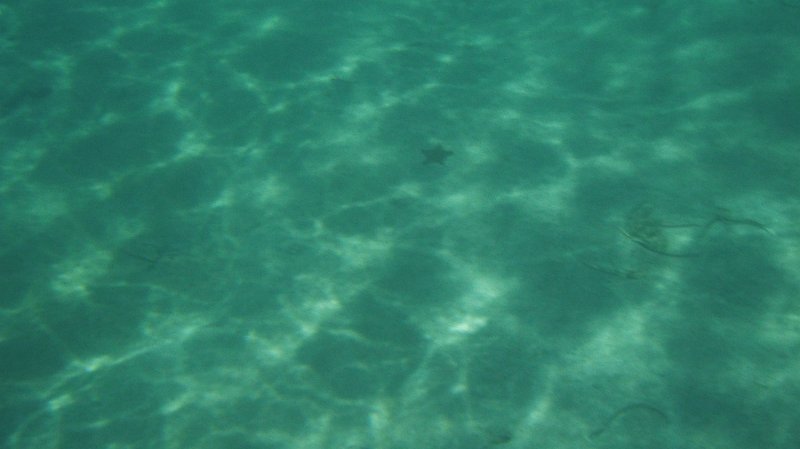 DSCF0817.JPG