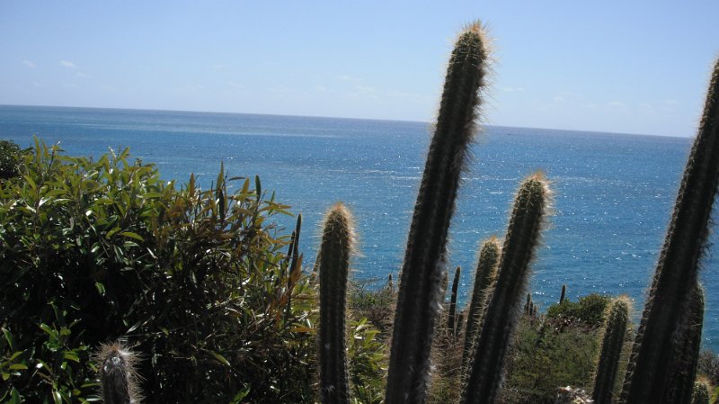 DSCF0896.JPG