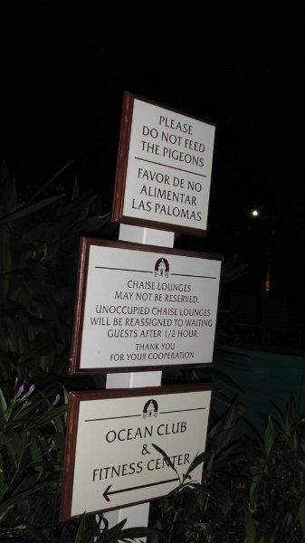 DSCF1033.JPG
