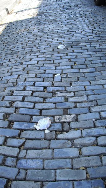 DSCF1129.JPG