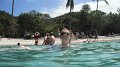 DSCF0528