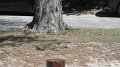 DSCF0547