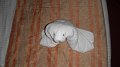DSCF0597