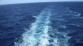 DSCF0601