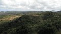 DSCF0711