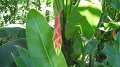 DSCF0729