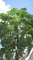 DSCF0741