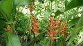 DSCF0749