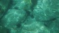DSCF0771