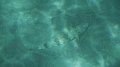 DSCF0775