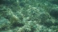 DSCF0814