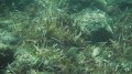 DSCF0815
