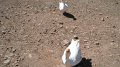 DSCF0880