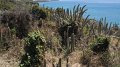 DSCF0895