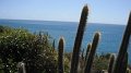 DSCF0896