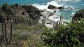 DSCF0901