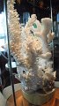 DSCF0978