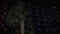 DSCF1031