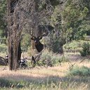 IMG_3113