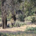 IMG_3114