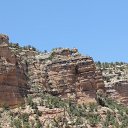 IMG_3128