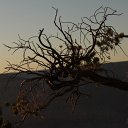 IMG_3159