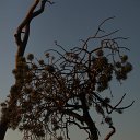 IMG_3161