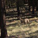 IMG_3206