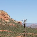 IMG_3220