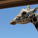 IMG_3242