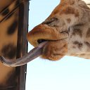IMG_3243