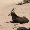 IMG_3247