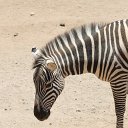 IMG_3251