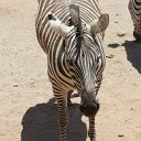 IMG_3252
