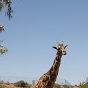 IMG_3263