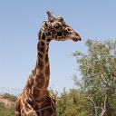 IMG_3265