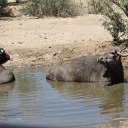 IMG_3267
