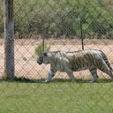 IMG_3274