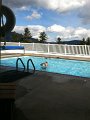 IMG_0422