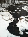 IMG_2850