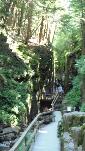 DSCF1765.JPG