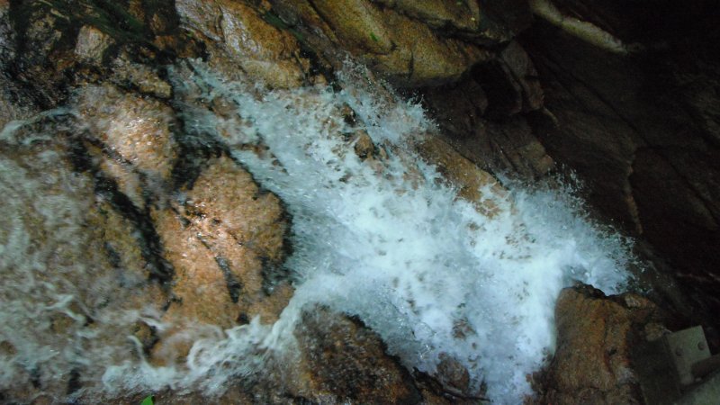 DSCF1769.JPG