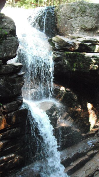 DSCF1770.JPG