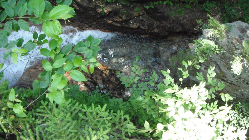 DSCF1777.JPG